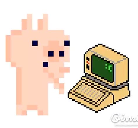 pigs and pixels