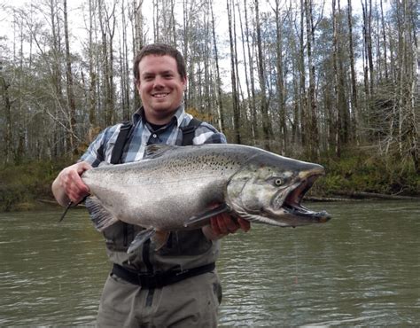 7 Deadly Techniques To Catch Chinook Salmon In Rivers