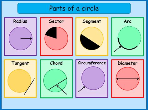 Labelling A Circle 52 Plays Quizizz