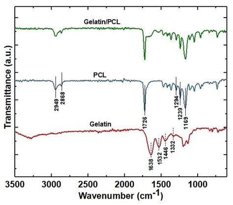 Ftir Spectra Of Electrospun Samples Of Pcl Gelatin And Pclgel Nanofibers Download