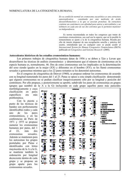 NOMENCLATURA DE LA CITOGENETICA HUMANA Hiroshy UDocz