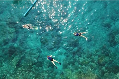 Bali Blue Lagoon Snorkeling With Optional Sightseeing Tour Getyourguide