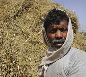 Indias Agrarian Distress Is Farming A Dying Occupation