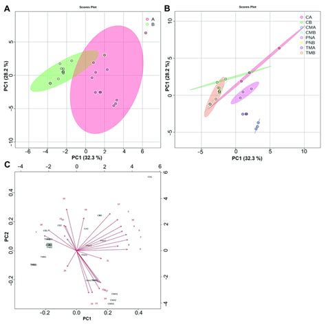 Principal component analysis of volatile organic compounds: (A) Score ...