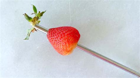 You Should Hull Your Strawberries With A Reusable Straw