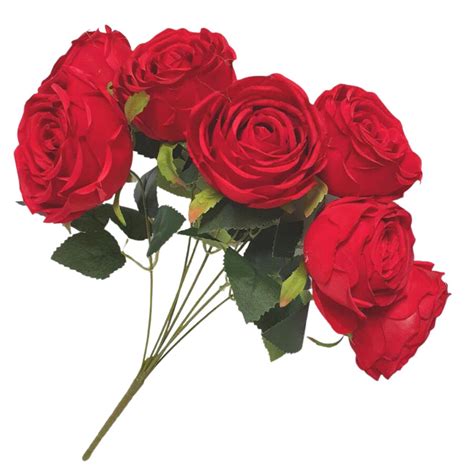 bunch  reflex roses cm red desflora