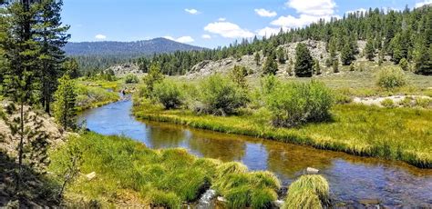 Kern River Fly Fishing Report July 1 2020