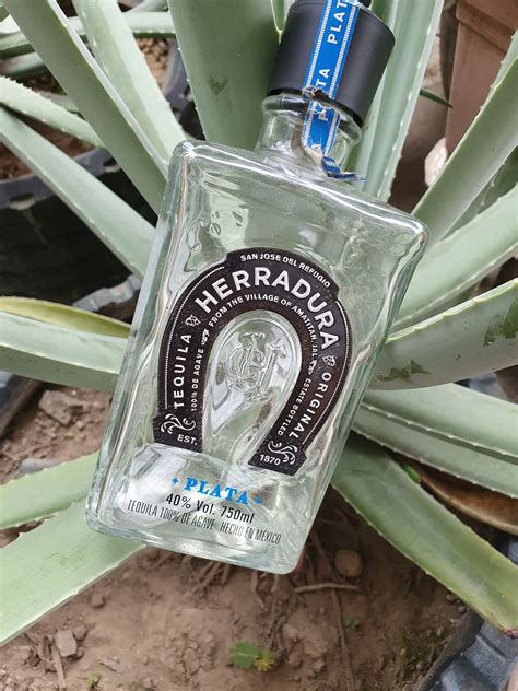 Herradura Plata Tequila Malt Whisky Reviews