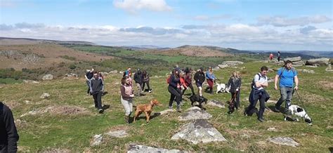 Dartmoor S Daughter Dartmoor National Park All You Need To Know Before You Go