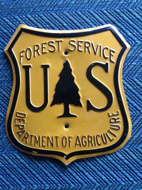 VINTAGE US Forest Service SHIELD SIGN Department Of Agriculture 5 X 5