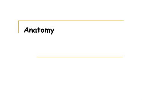 Assessment Of The Female Genitalia Ppt