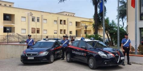 CAIVANO Piazza Di Spaccio Smantellata Prima Di Diventare Operativa