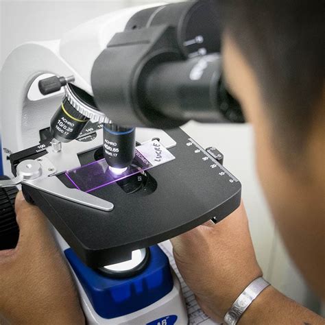 What Is Depth of Field & Depth of Focus on a Microscope? - Optics Mag