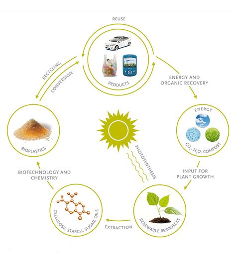 Bioplastic Lifecycle - ABA Australasian Bioplastics Association