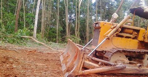 Eltapondelascinco Campamento Loma Miranda Denunci Aprestos Para