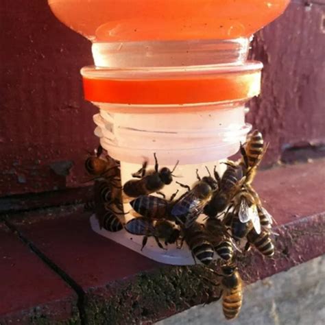 FONTAINE BOIRE Mangeoire Abeilles Pratique Et Facile Utiliser 3 Pi Ces