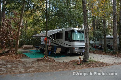 Myrtle Beach State Park Campsite Photos Camping Info And Reservations