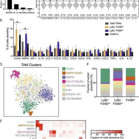 Functional Heterogeneity In Tam Subsets In Braf Pten Melanomas A