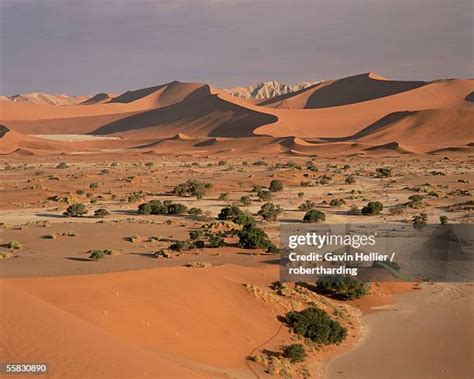 58 Parabolic Dune Stock Photos, High-Res Pictures, and Images - Getty ...