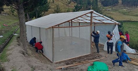 Huancavelica Construyen módulos de producción de semillas de papa