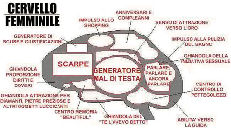 Cervello Le Differenze Tra Uomo E Donna In Versione Ironica