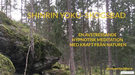 Shinrin Yoku Ett Avstressande Skogsbad I Hypnos Youtube