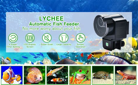 Lychee Aquarium Fish Feeder Vacation Aquarium Automatic Fish Food