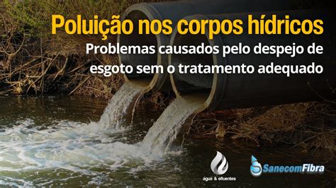 Polui O E Os Problemas Causados Pelo Despejo De Esgoto Sem Tratamento