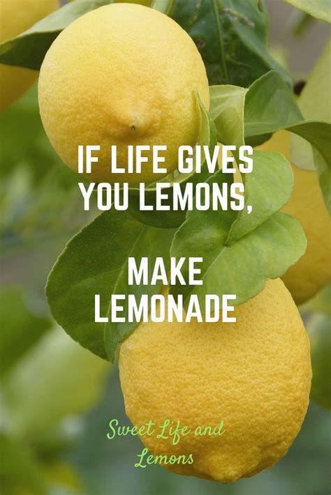 When Life Gives You Lemons Sweet Life And Lemons