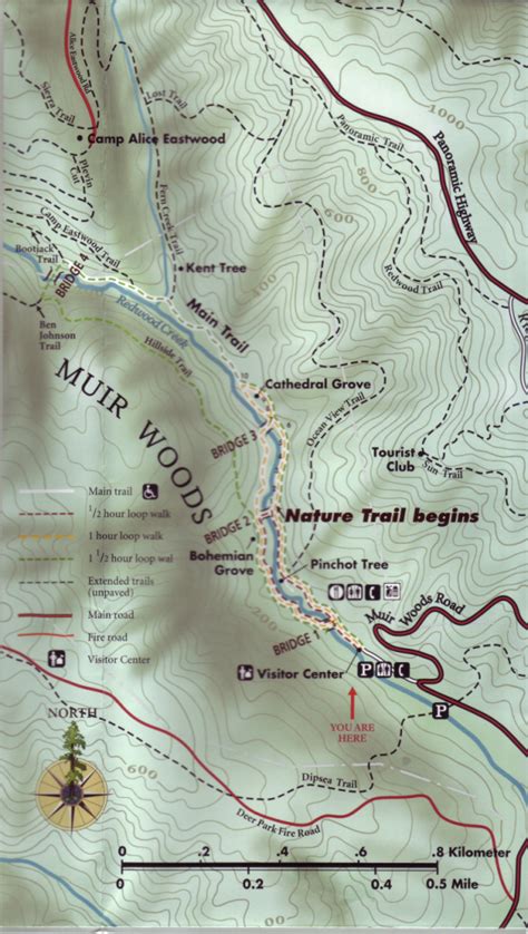 Muir Woods Map California - Printable Maps