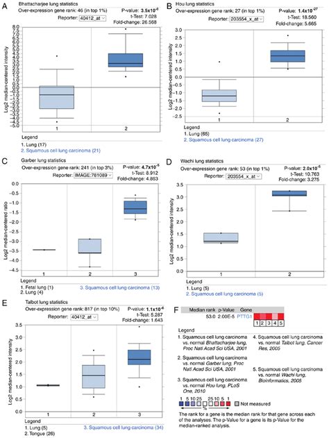 Meta Analyses Of Pttg1 Expression In Patients With Lusc Pttg1