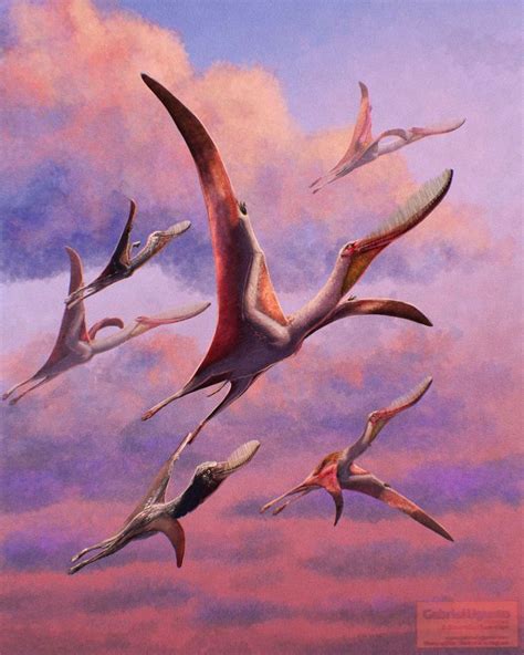 A Flock Of Pterodaustro It Was A Filter Feeding Pterosaur That Lived