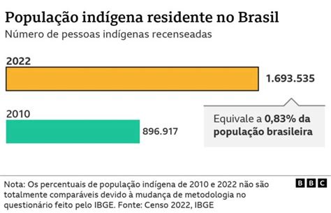 63 Vivem Em Terras Não Oficializadas O Panorama Da População Indígena