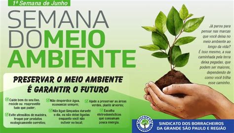 Preservar O Meio Ambiente É Garantir O Futuro Sintrabor