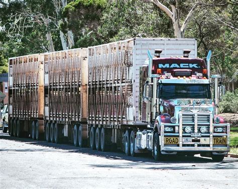 #truckphotography #mack #macktruck #macktrucksaustralia #cattletruck # ...