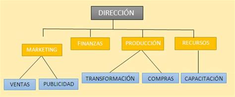 Roles De Una Empresa