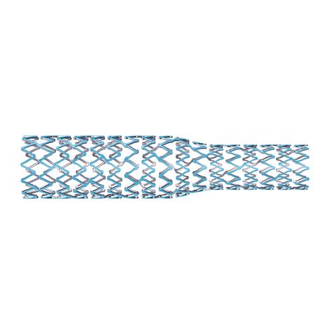 Synergy Megatron™ Drug Eluting Coronary Stent Boston Scientific