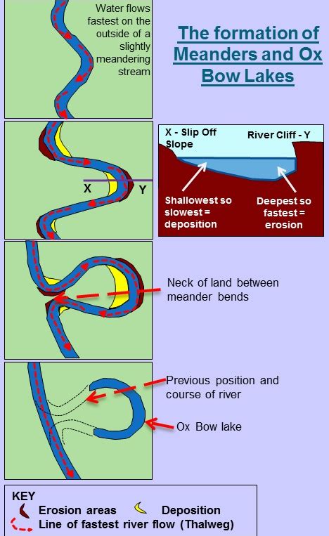 Meanders and floodplains