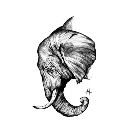 Elephant Pen Drawing Pen Drawing Black Pen Drawing Elephant Drawing