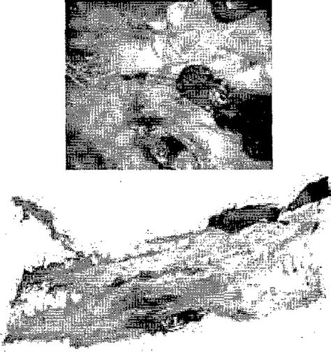 Figure From Towards Endoscopic Augmented Reality For Robotically