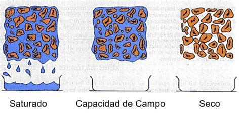 Infoagronomo Net On Twitter La Capacidad De Campo Cc Es El