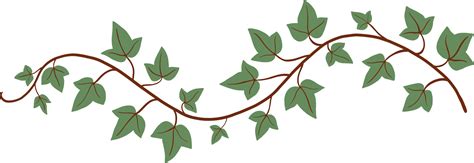 Simplicity Ivy Freehand Drawing Flat Design Png