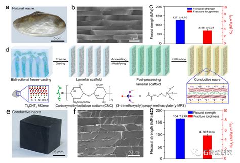 坚韧导电的珍珠层启发的mxene 环氧树脂层状块体纳米复合材料 电子发烧友网
