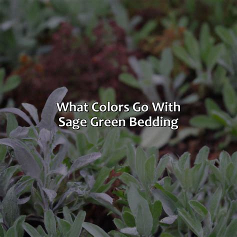 What Colors Go With Sage Green Bedding