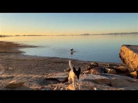 La Baia Di Napoli Prelude Sophia Loren SD 480p YouTube