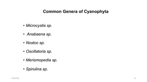 PLANKTON, TYPES, IMPORTANCE.pptx