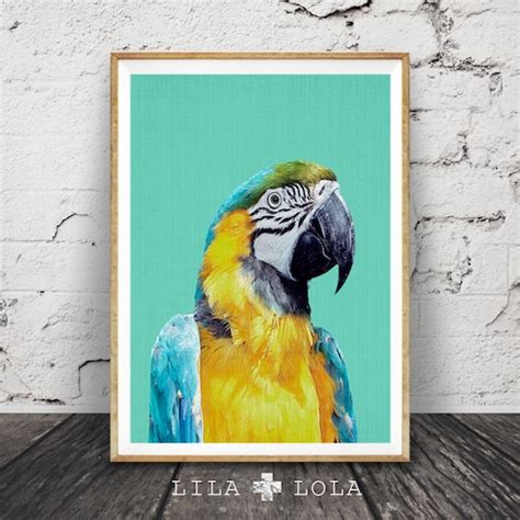 Tropical Bird Print Parrot Wall Art Bird Photography Macaw Etsy