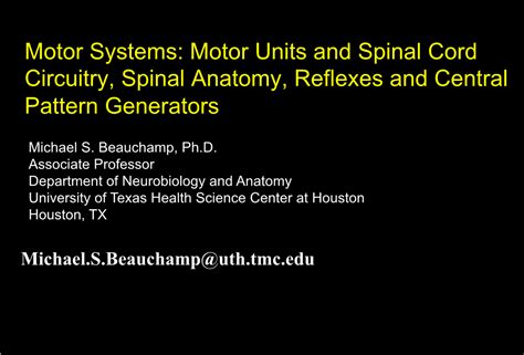 Motor Systems Motor Units And Spinal Cord Circuitry Spinal Anatomy