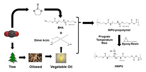 Polymers Free Full Text Solvent And Catalyst Free Synthesis