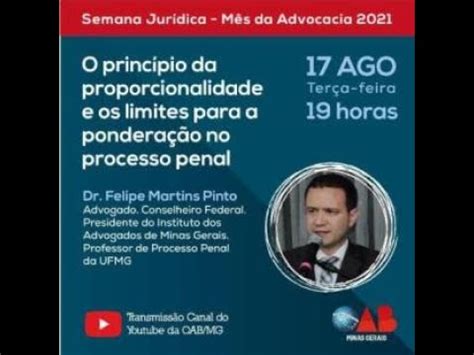 O Princ Pio Da Proporcionalidade E Os Limites Para Pondera O No